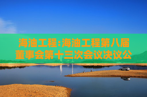 海油工程:海油工程第八届董事会第十三次会议决议公告