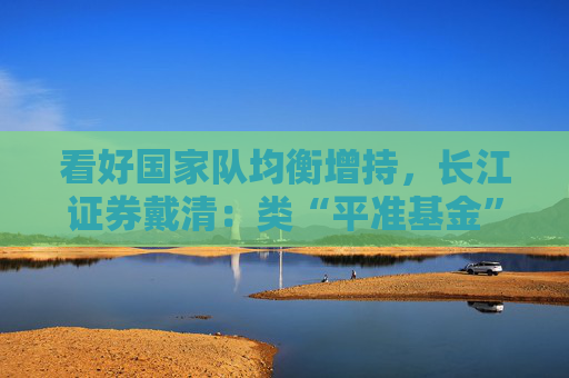 看好国家队均衡增持，长江证券戴清：类“平准基金”也将涵盖科创50、中证1000等ETF