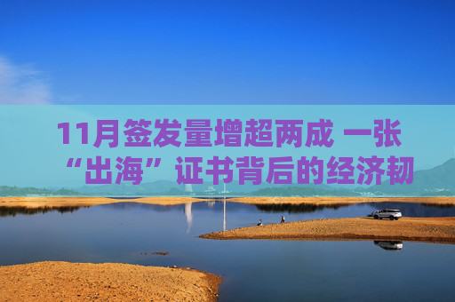 11月签发量增超两成 一张“出海”证书背后的经济韧性  第1张