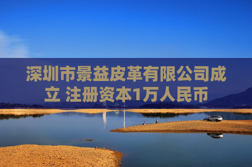 深圳市景益皮革有限公司成立 注册资本1万人民币