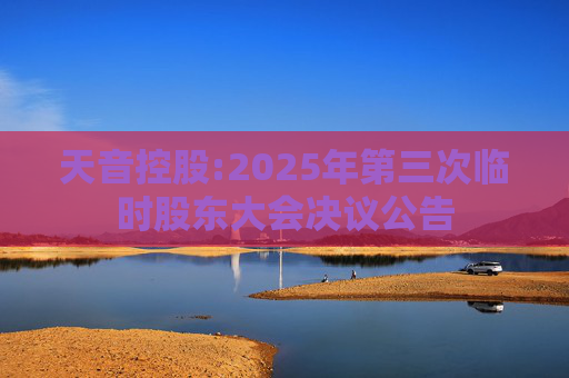天音控股:2025年第三次临时股东大会决议公告