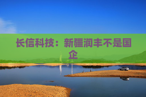 长信科技：新疆润丰不是国企