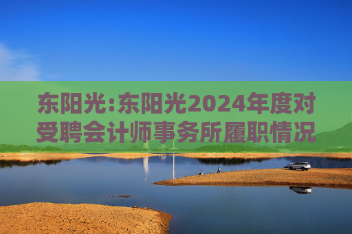 东阳光:东阳光2024年度对受聘会计师事务所履职情况的评估报告  第1张