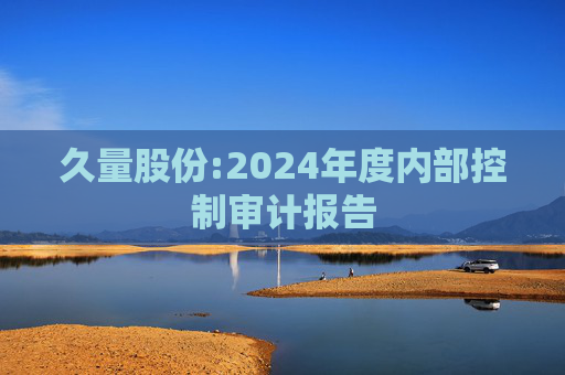 久量股份:2024年度内部控制审计报告  第1张