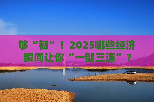 够“韧”！2025哪些经济瞬间让你“一键三连”？