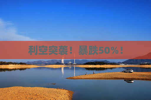 利空突袭！暴跌50%！  第1张