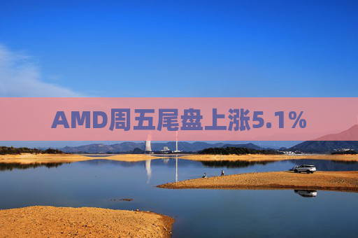 AMD周五尾盘上涨5.1%  第1张