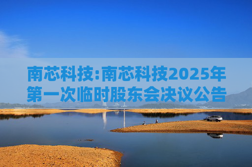 南芯科技:南芯科技2025年第一次临时股东会决议公告
