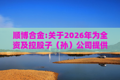 顺博合金:关于2026年为全资及控股子（孙）公司提供担保的公告
