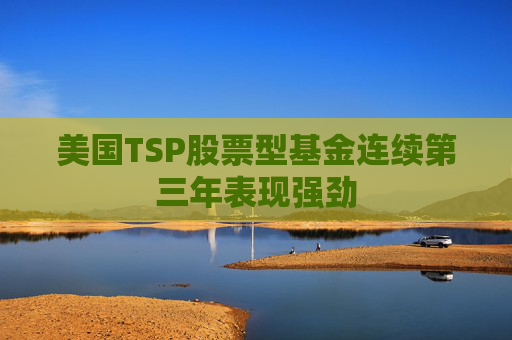 美国TSP股票型基金连续第三年表现强劲