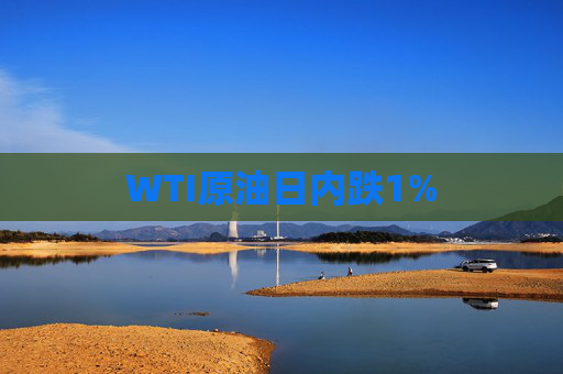 WTI原油日内跌1%  第1张