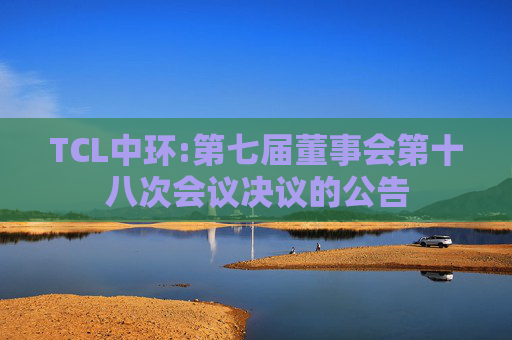 TCL中环:第七届董事会第十八次会议决议的公告