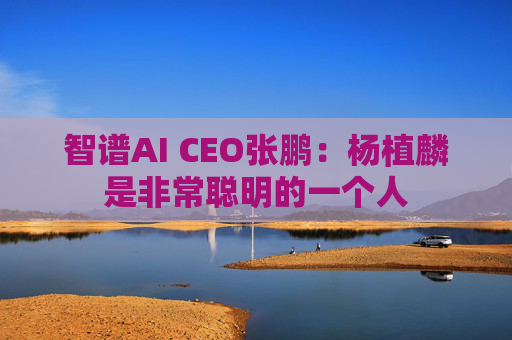 智谱AI CEO张鹏：杨植麟是非常聪明的一个人