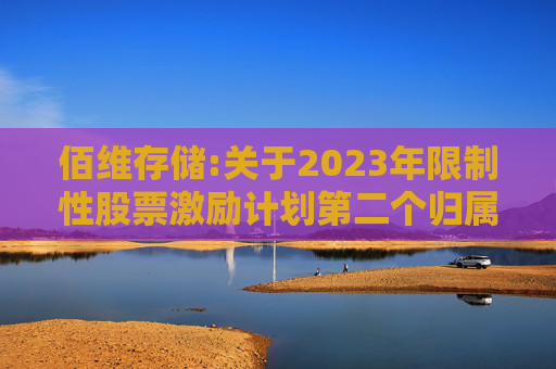 佰维存储:关于2023年限制性股票激励计划第二个归属期（第二批次）、2024年限制性股票激励计划首次授予第一个归属期（第二批次）归属结果暨股份上市的公告
