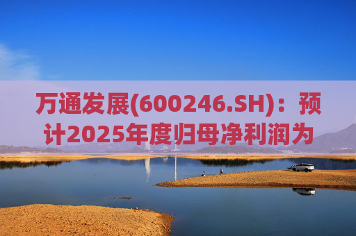 万通发展(600246.SH)：预计2025年度归母净利润为负值