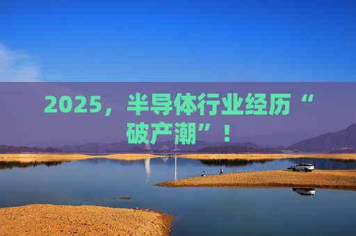 2025，半导体行业经历“破产潮”！