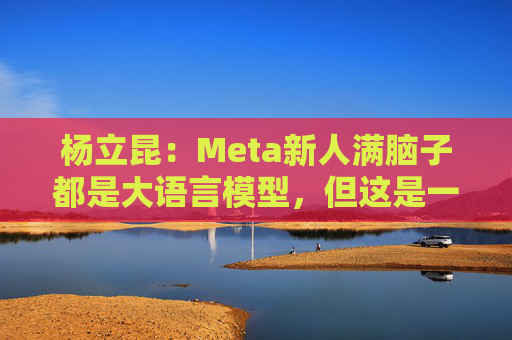 杨立昆:Meta新人满脑子都是大语言模型,但这是一条死胡同