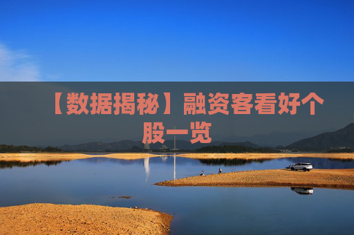 【数据揭秘】融资客看好个股一览