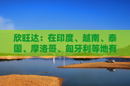 欣旺达：在印度、越南、泰国、摩洛哥、匈牙利等地有生产基地