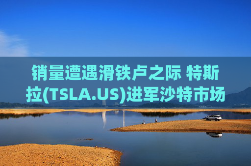 销量遭遇滑铁卢之际 特斯拉(TSLA.US)进军沙特市场  第1张