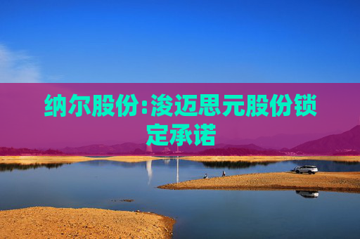 纳尔股份:浚迈思元股份锁定承诺  第1张