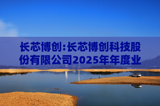 长芯博创:长芯博创科技股份有限公司2025年年度业绩预告
