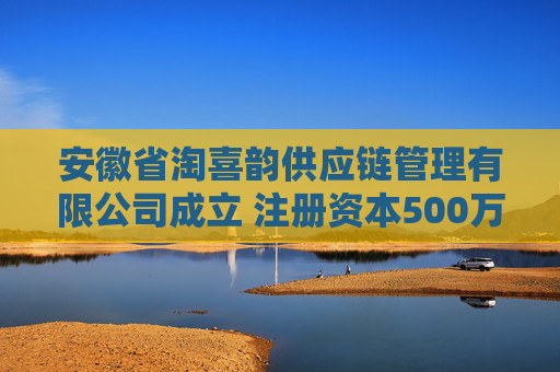 安徽省淘喜韵供应链管理有限公司成立 注册资本500万人民币  第1张