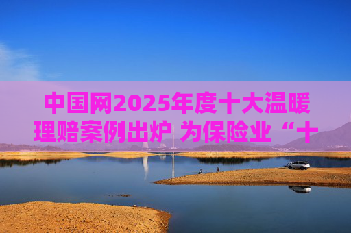 中国网2025年度十大温暖理赔案例出炉 为保险业“十五五”开好局起好步贡献力量
