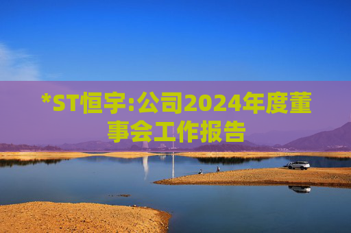 *ST恒宇:公司2024年度董事会工作报告