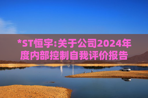 *ST恒宇:关于公司2024年度内部控制自我评价报告