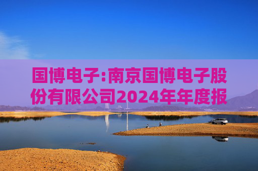 国博电子:南京国博电子股份有限公司2024年年度报告