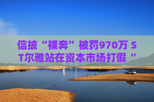 信披“裸奔”被罚970万 ST尔雅站在资本市场打假“暴风眼”