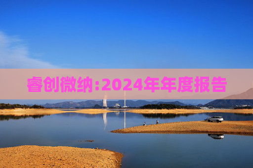 睿创微纳:2024年年度报告