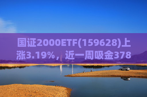 国证2000ETF(159628)上涨3.19%，近一周吸金3783.14万元，换手率10.43%