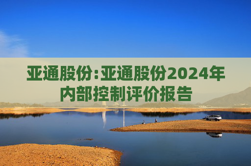 亚通股份:亚通股份2024年内部控制评价报告  第1张