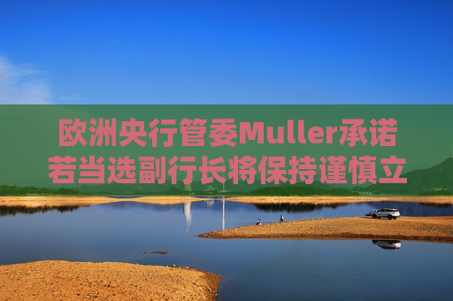欧洲央行管委Muller承诺若当选副行长将保持谨慎立场