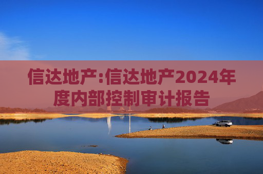 信达地产:信达地产2024年度内部控制审计报告  第1张