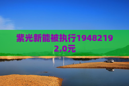紫光新能被执行19482192.0元