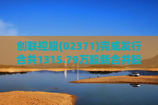 创联控股(02371)完成发行合共1315.79万股新合并股份