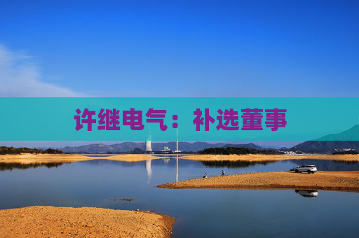 许继电气：补选董事