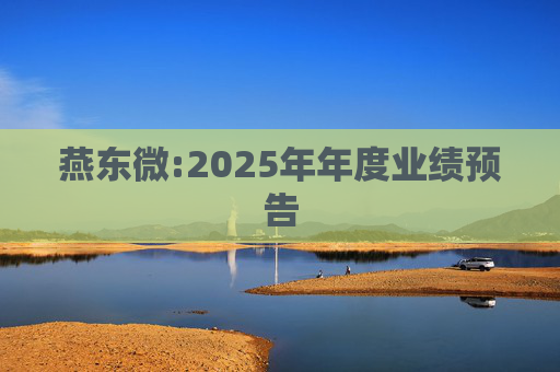 燕东微:2025年年度业绩预告