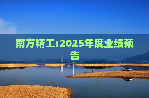 南方精工:2025年度业绩预告