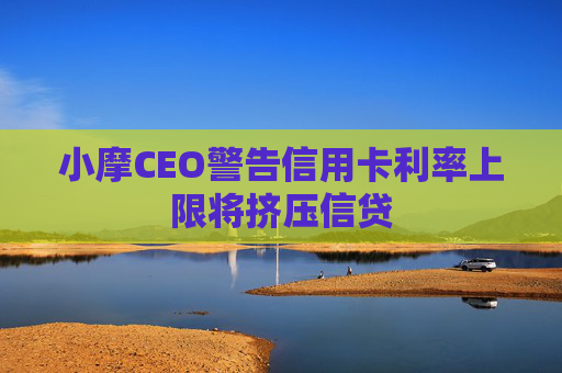 小摩CEO警告信用卡利率上限将挤压信贷