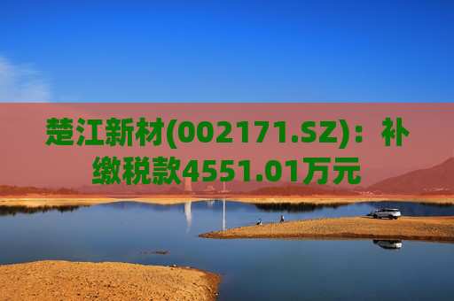 楚江新材(002171.SZ)：补缴税款4551.01万元