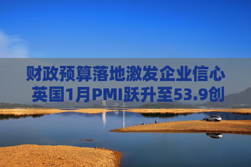 财政预算落地激发企业信心 英国1月PMI跃升至53.9创21个月新高  第1张