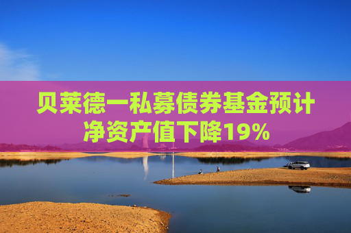 贝莱德一私募债券基金预计净资产值下降19%