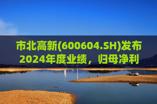 市北高新(600604.SH)发布2024年度业绩，归母净利润3053万元，同比扭亏为盈  第1张