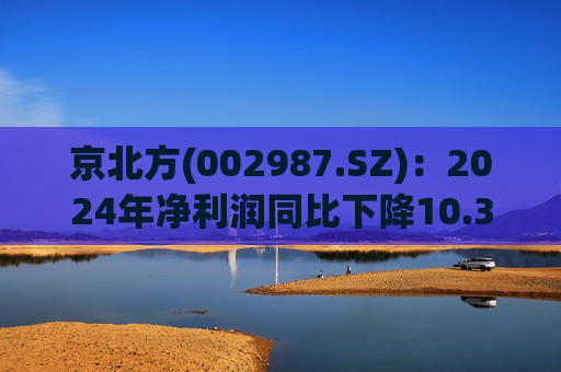 京北方(002987.SZ)：2024年净利润同比下降10.36% 拟10股转4股派2.5元