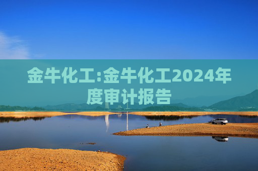 金牛化工:金牛化工2024年度审计报告