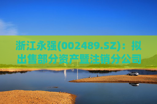 浙江永强(002489.SZ)：拟出售部分资产暨注销分公司
